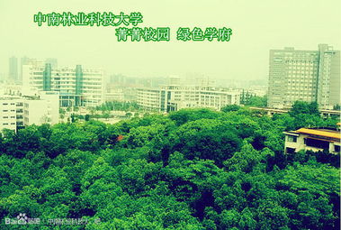 中国好大学之中南林业科技大学 林业学科的特色与优势