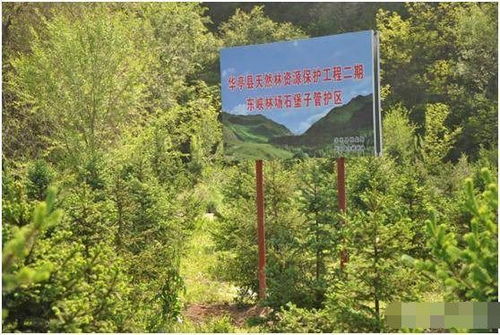 山林地被定性为自然林后的开发限制与应对策略