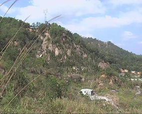 清明祭扫无火险，绿色安全共守护——林业部门提醒商业机构与公众防火责任